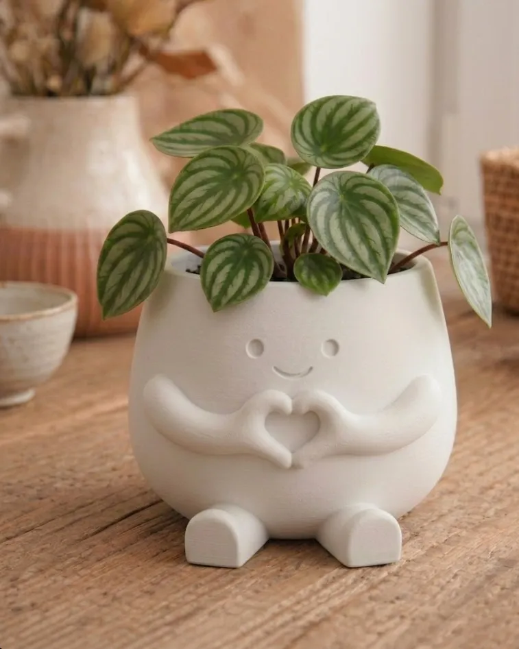 CHẬU CÂY HEARTY BẮN TIM – THỔI BÙNG NĂNG LƯỢNG TÍCH CỰC CHO GÓC NHỎ CỦA BẠN